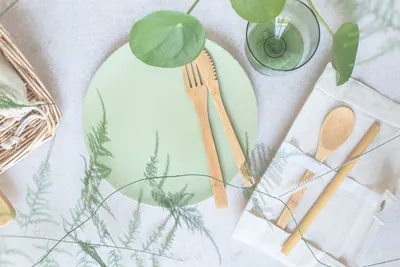 Compostable plate with wooden cutlery and green leaves