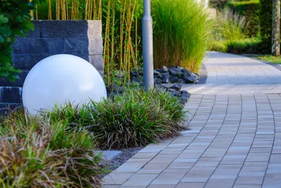 Modern garden path with a globe light, grasses and bamboo