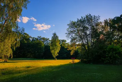 Open sunny park field with plenty of room for long frisbee throws